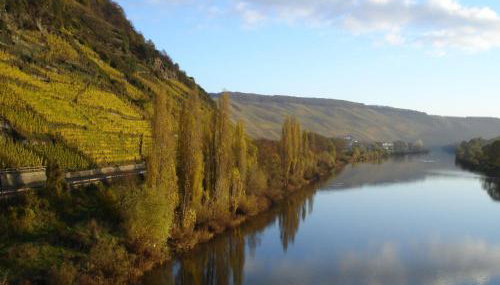 Mosel Ferienresidenz ZickZack - Foto 5