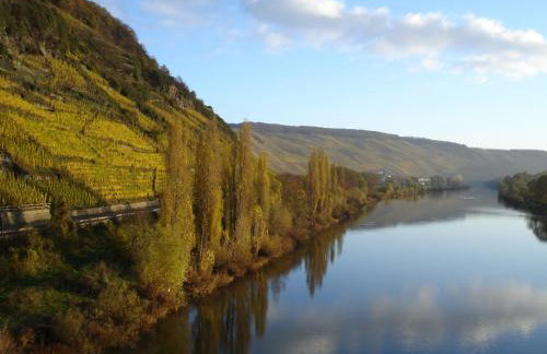 Mosel Ferienresidenz ZickZack - Foto 5