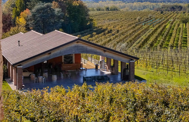 Visita a la bodega Fasol Menin - Foto 1