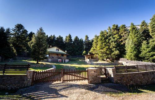Dandy Villas Elatodasos - Chalet Artemis - Fir Forest - Jeep & Nature Lovers - Foto 4