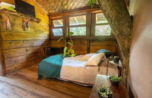 Casa da Árvore - Foto 28