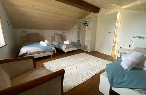 Les coccinelles - Foto 3