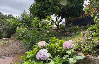 Costa Brava Paradís - Foto 39