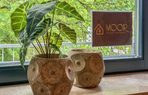 Moor Feeling Apartments Worpswede - Foto 35