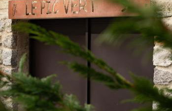 Le pic-vert - Foto 49