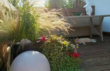 Żuławska Osada - Foto 21