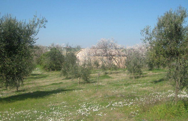 I Tre Filari - Foto 24