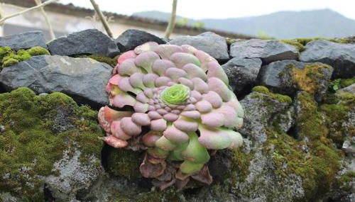 Casa da Guiomarinha - Photo 3