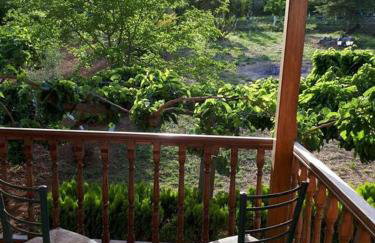 Villa - Farmhouse - Photo 12