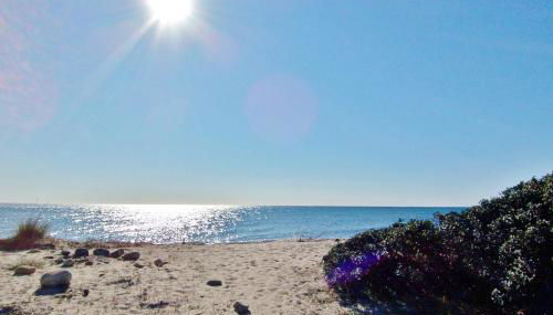 Appartement Chiola-Plage à pieds-clim - Foto 2