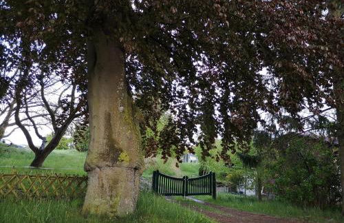 Haus Antje - Foto 12