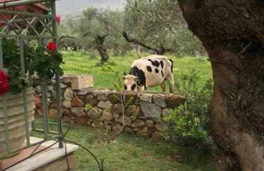 Small paradise in Saint Nicolas Village ! - Foto 43