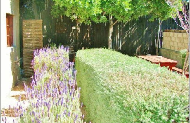 Tourist Lodge Gansbaai - Foto 24