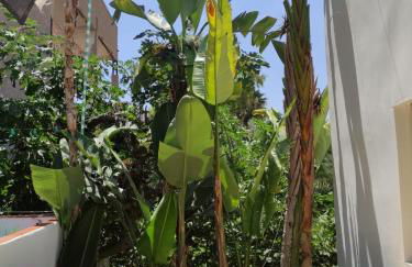 Ku terraza PARKING - Foto 27