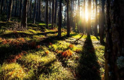 Appartments Neuhof - Photo 6