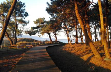 Apartamento A Laxe - Foto 23