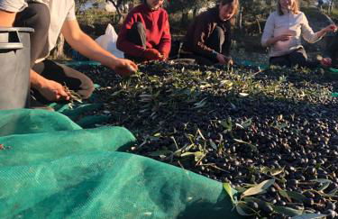 Special Farmstay, Faia-Guarda - Foto 48