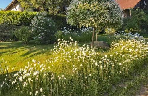 Böhmerwaldnest - Foto 41