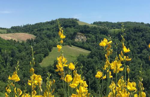 Pizzicalaluna Agriturismo Olistico sulle Colline di Pianoro - Photo 60