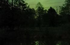 Bliss Garden Retreat House ZielonoMi - Foto 62