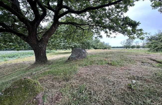 5 Star Holiday Home in Hovborg - Foto 14