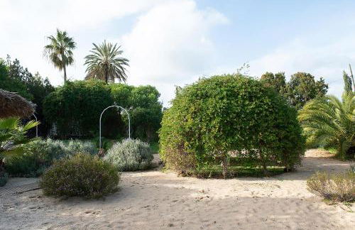 Ciel Azul Ibiza Apartamentos - Foto 8