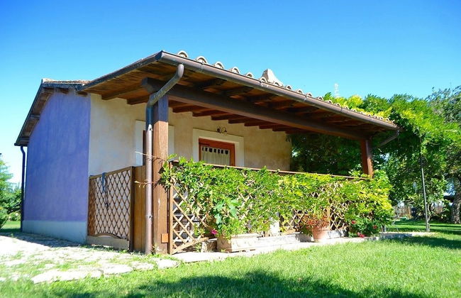 Ars Naturae Biologic Farm - Foto 69