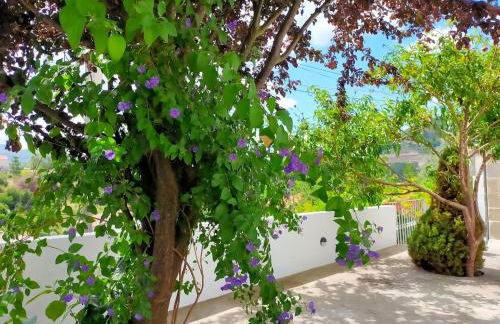 Miguas House - Foto 40