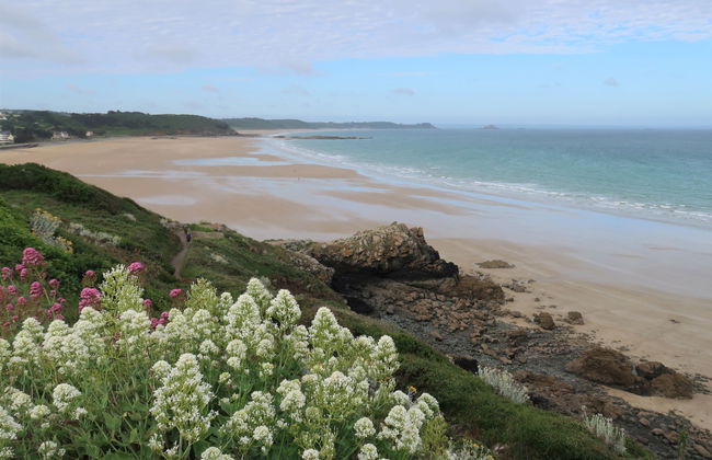 Etoile de Mer - Photo 25