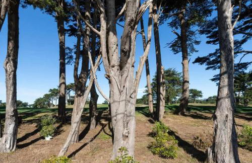 Mid-Century Modern Home in Daly City - Photo 23