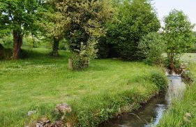 Vakantiewoning in landelijke omgeving - Foto 16