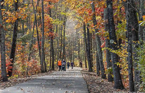 NatureGlow Residence Stylish Contemporary Home - Foto 43