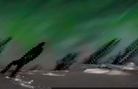 Aurora Borealis Snowshoe Tour - Foto 4