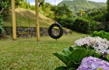 Chácara em Nova Friburgo (espaço inteiro) - Foto 11