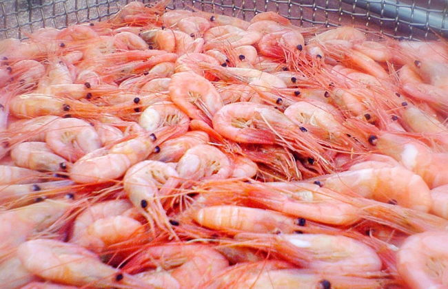 Sea View Holiday Home Near Lysekil - Foto 19