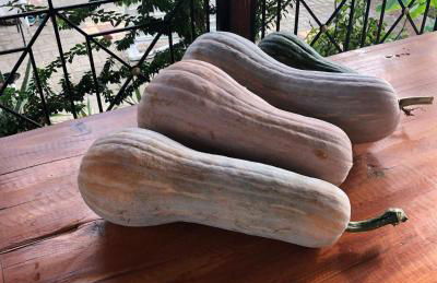 Panos and Chrisas House - Foto 27