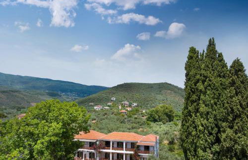 Vergonis Studios - Photo 21