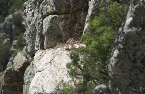 Monte do Pego - Foto 17