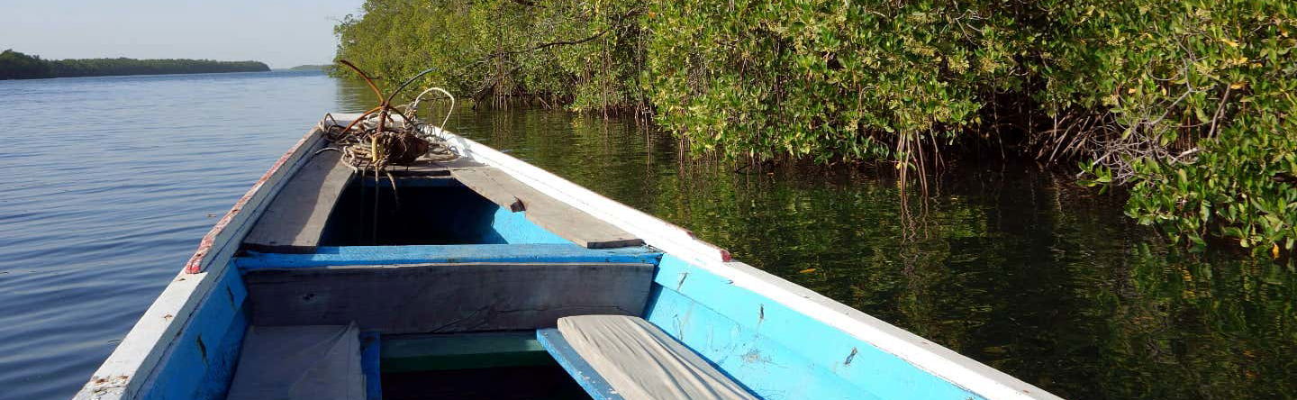 Excursão privada ao Delta do Saloum