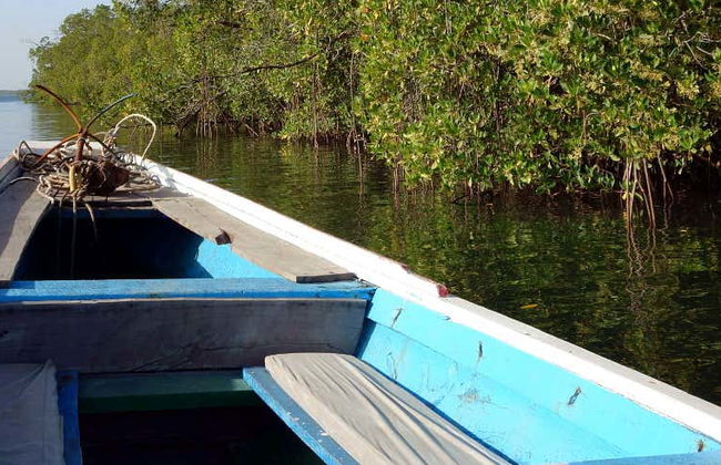 Escursione privata al Delta del Saloum - Foto 1