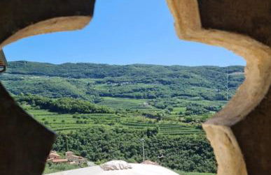 Villa Allegri Agriturismo di Charme - Foto 29