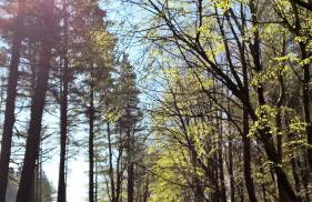 Millrace Cottage - Foto 25