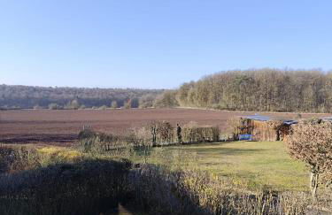 Eulenburg am Reuthsee Nurdachhaus mit Garten - Foto 6