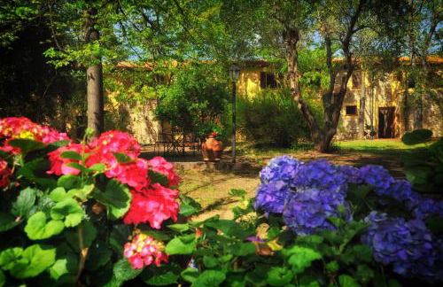 Agriturismo Il Piaggione - Foto 32