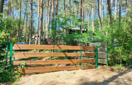 Domek letniskowy "Wiewiórka" - Foto 24