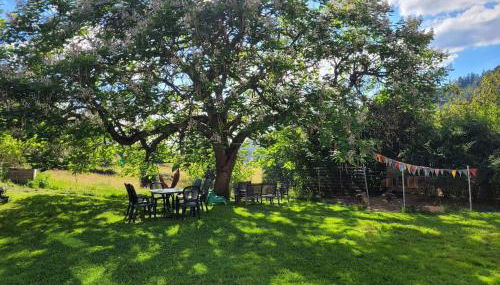 Gîte cosy dans les Vosges - Foto 2