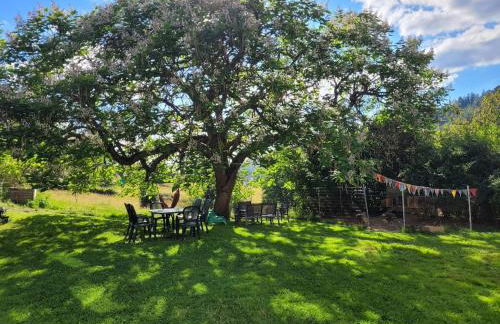Gîte cosy dans les Vosges - Foto 2