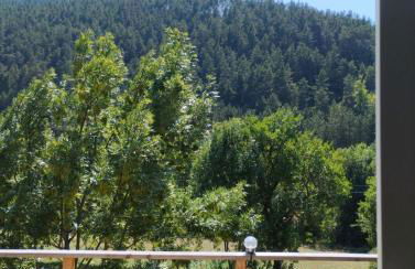 Maison carrée - domaine du vieux tilleul - Foto 15