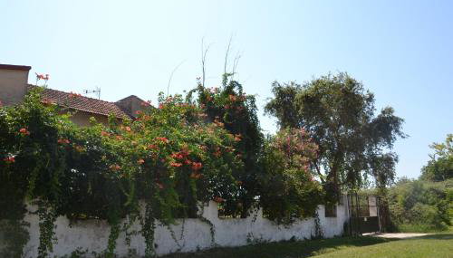 Beach House Into the Green! - Foto 3