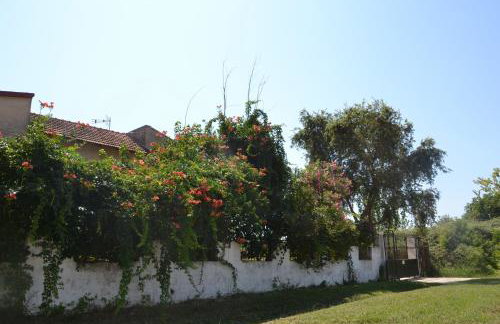 Beach House Into the Green! - Foto 3